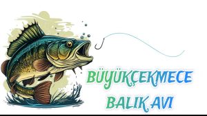 Büyükcekmece Balik Grubu
