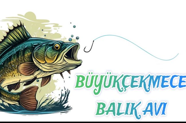 balik Grubu,lrf Grubu,spin grubu