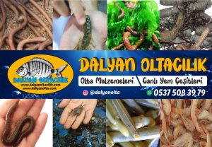 Dalyan Oltacılık’ta Bulabileceğiniz Canlı Yem