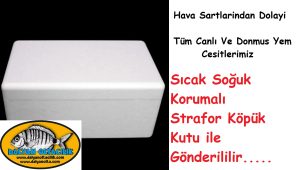 Canli Yem Kurye,Canlı Yem Kargo ,Canli yem Cesitleri,Canlı Sülünez
