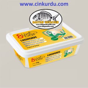 boru kurdu, Boru kurdu avlanma yöntemleri, Boru kurdu balık türleri, Boru kurdu beslenme alışkanlıkları, Boru kurdu çeşitleri, Boru kurdu habitatı, Boru kurdu özellikleri, Boru kurdu popülasyonu, Boru kurdu türleri ve çeşitleri, Canli Boru Kurdu