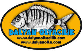 Dalyan Oltacilik